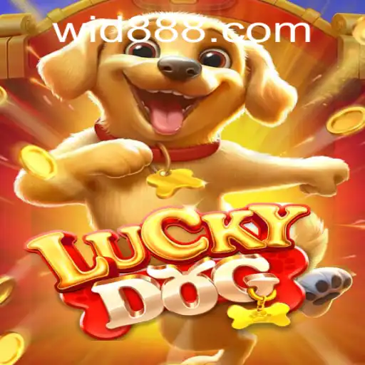 Discover LuckyDog: The Exciting World of Chance with ID888